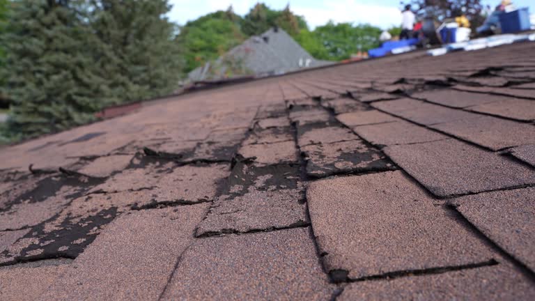 Best Roof Maintenance and Cleaning  in Flowing Wells, AZ