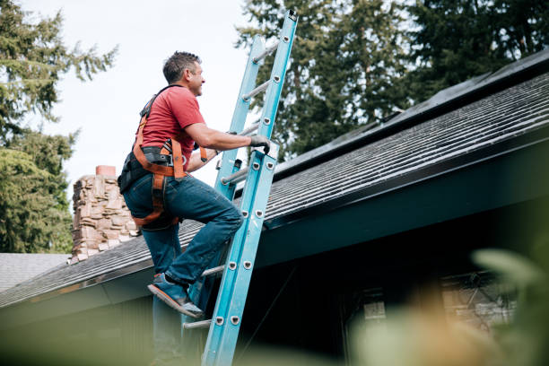 Gutter Replacement in Flowing Wells, AZ